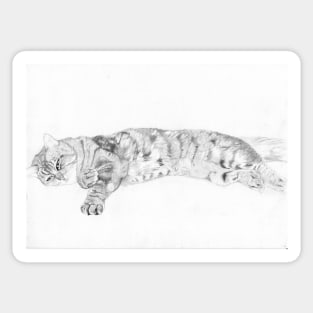 Tabby Cat relaxing Sticker